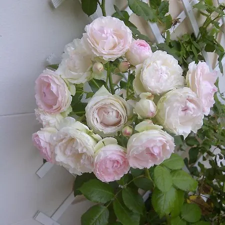 Le Mascaret فندق مبيت وإفطار 4*